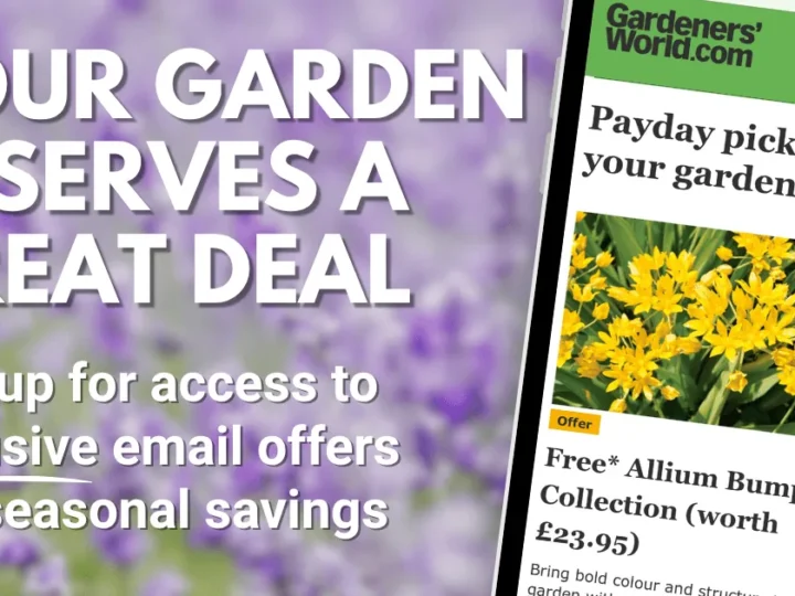 When Should You Call an Expert About Your Garden?