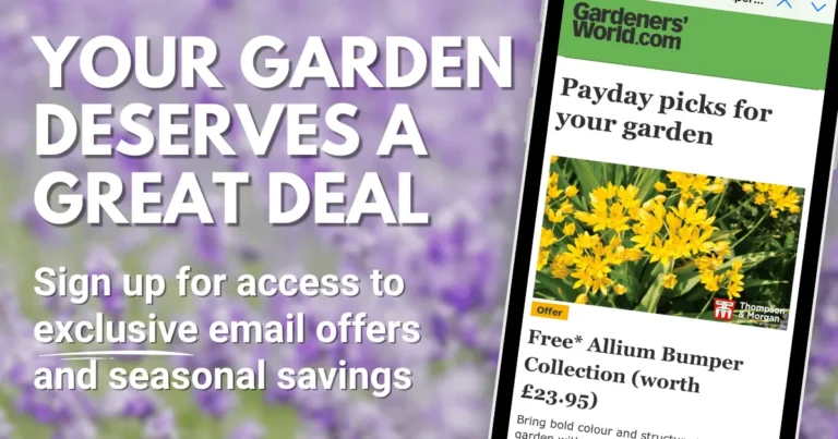 When Should You Call an Expert About Your Garden?
