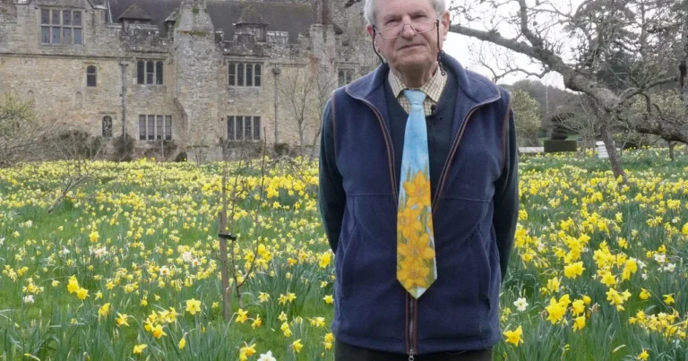 Are Your Daffodils Failing? Expert Secrets for Bigger Blooms