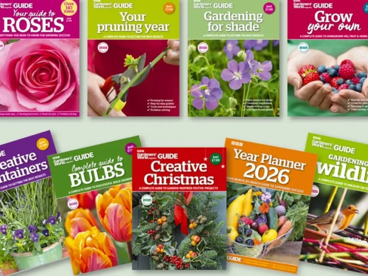 When Do You Need to Call an Expert Gardener?