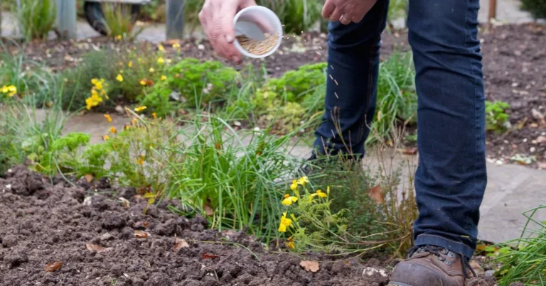 Safe Winter Soil Care: Proven Backyard Tips